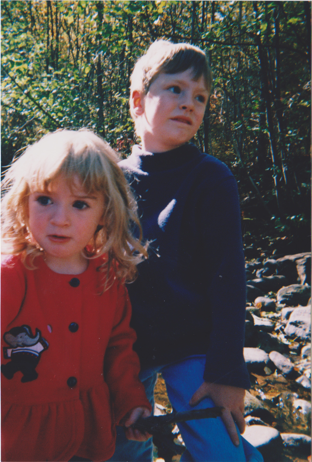 Image (2) - Copy - Copy